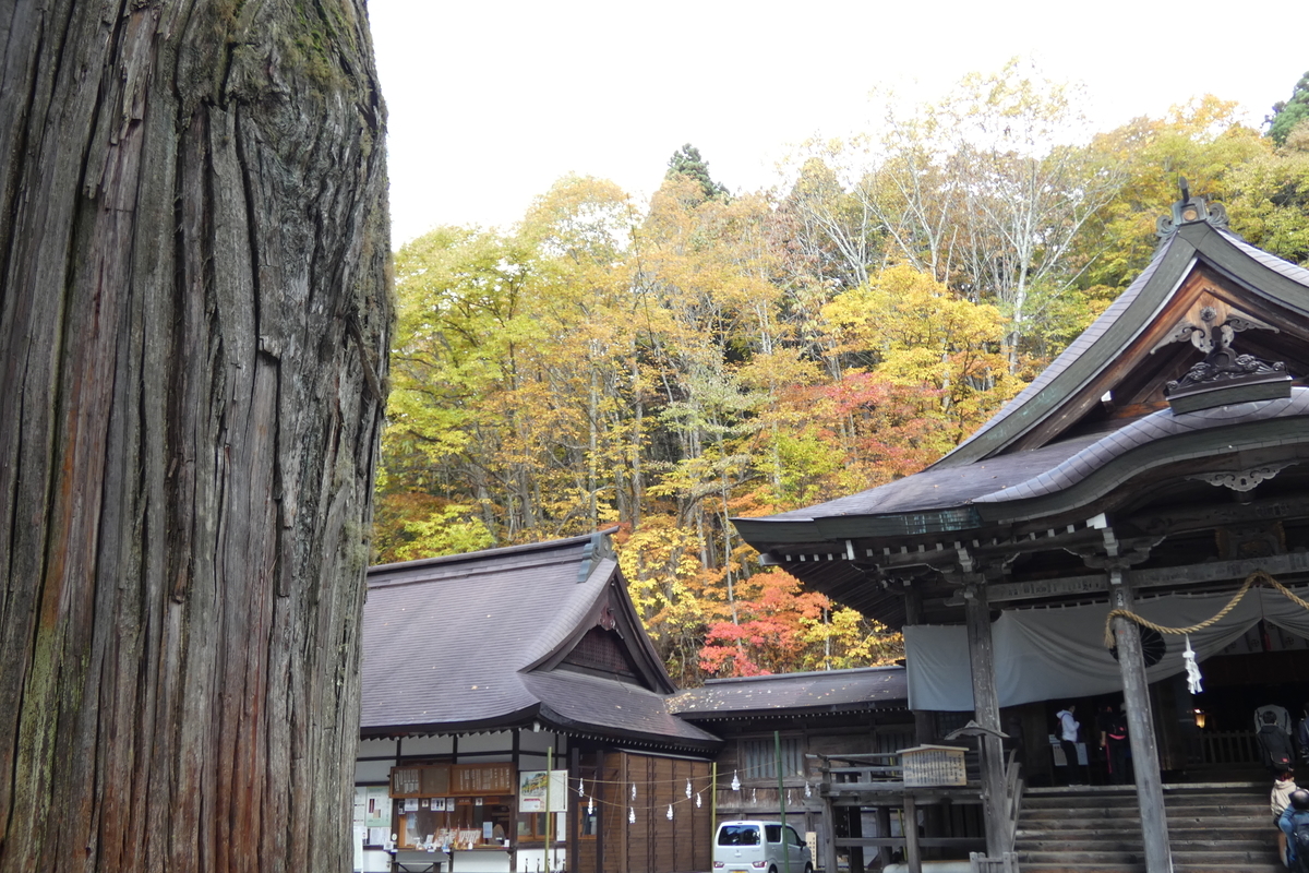 f:id:Ippo_ippo:20201117220647j:plain