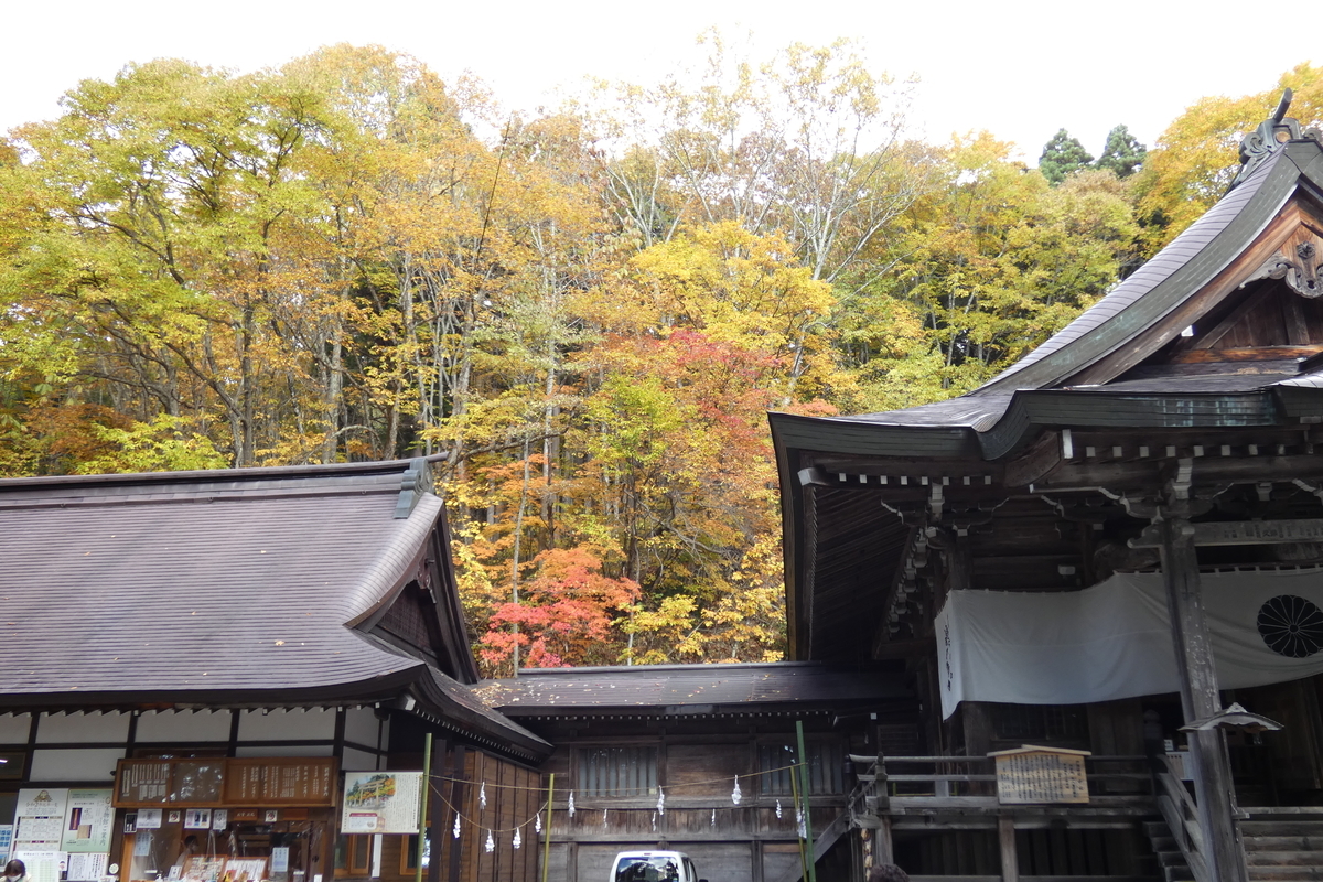 f:id:Ippo_ippo:20201117222253j:plain