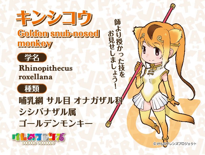 けものフレンズ２ は面白いか 面白くないか けものつれづれ