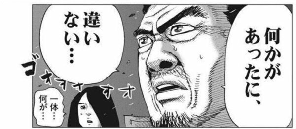 f:id:Ironyart:20190309200354j:plain