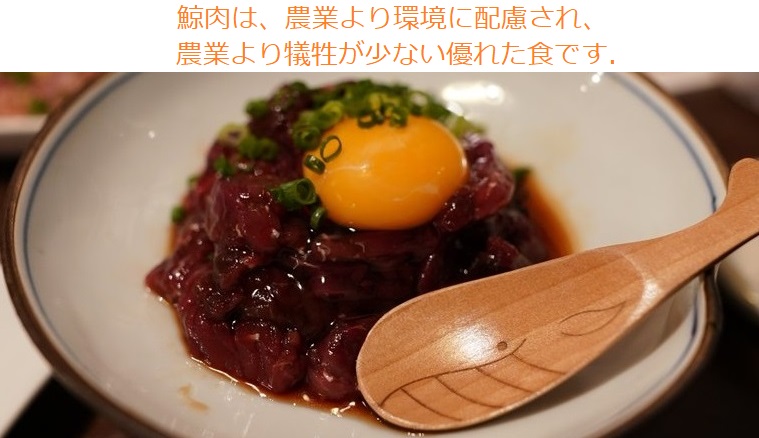 f:id:Irukanigohan:20190924180955j:plain