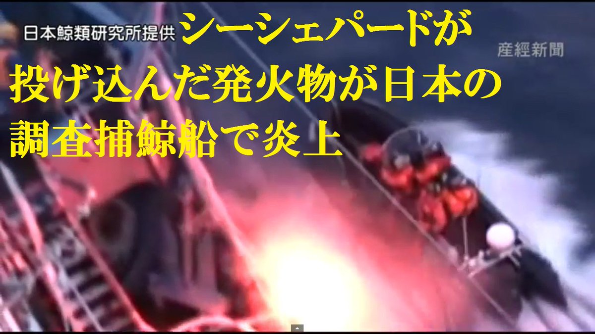 f:id:Irukanigohan:20190928001815j:plain