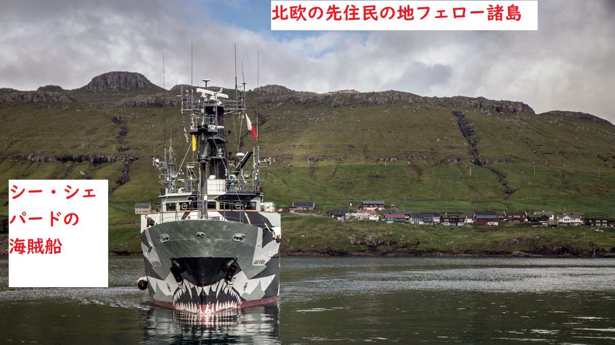 マカ族の捕鯨 フェロー諸島での捕鯨妨害 クジラの持続的利用へ改正法成立 伊豆の漁の模様 太地沖の鯨類の追込み網漁 今季通算16日目の成功 千葉の映画 海くんとクジラ 報道 反捕鯨とは人権軽視 消費者運動 鯨類に感謝 Thanks Cetacea くじらの消費者運動
