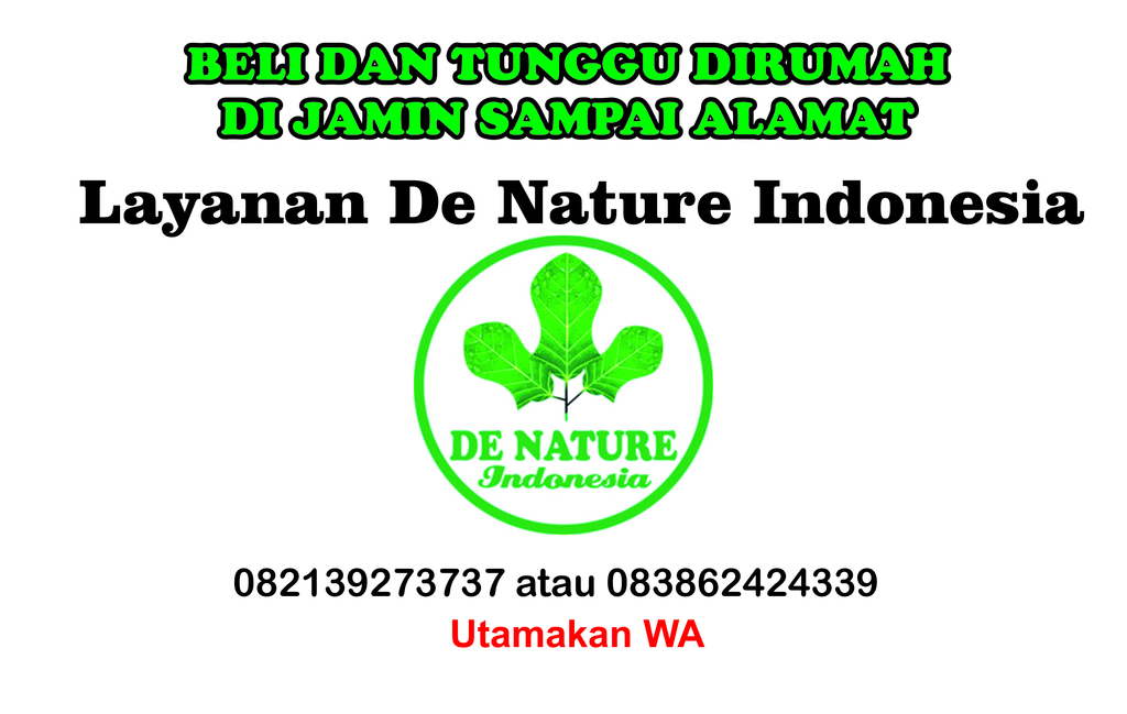 f:id:IshakChannel:20181009134510j:plain