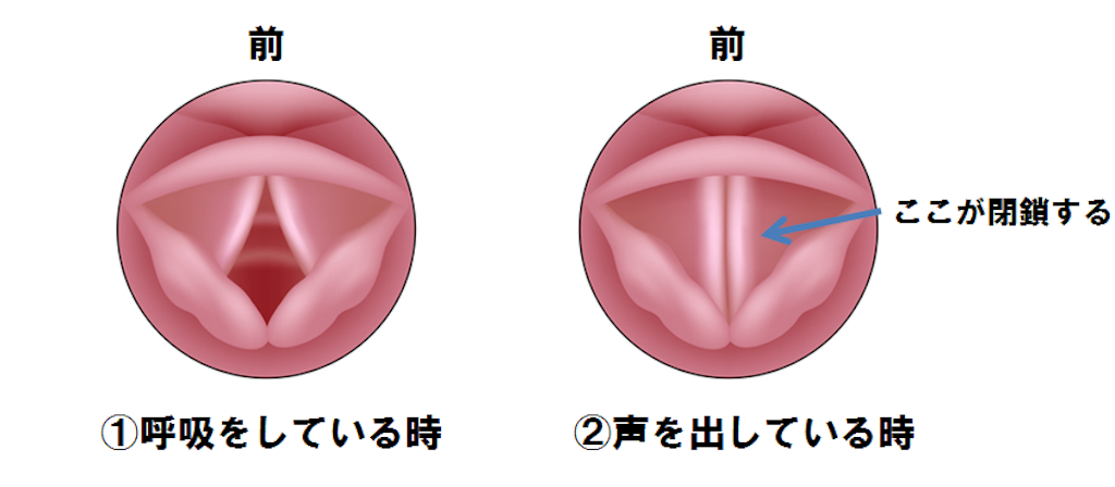 f:id:Ishida_Voice:20190624111540p:image