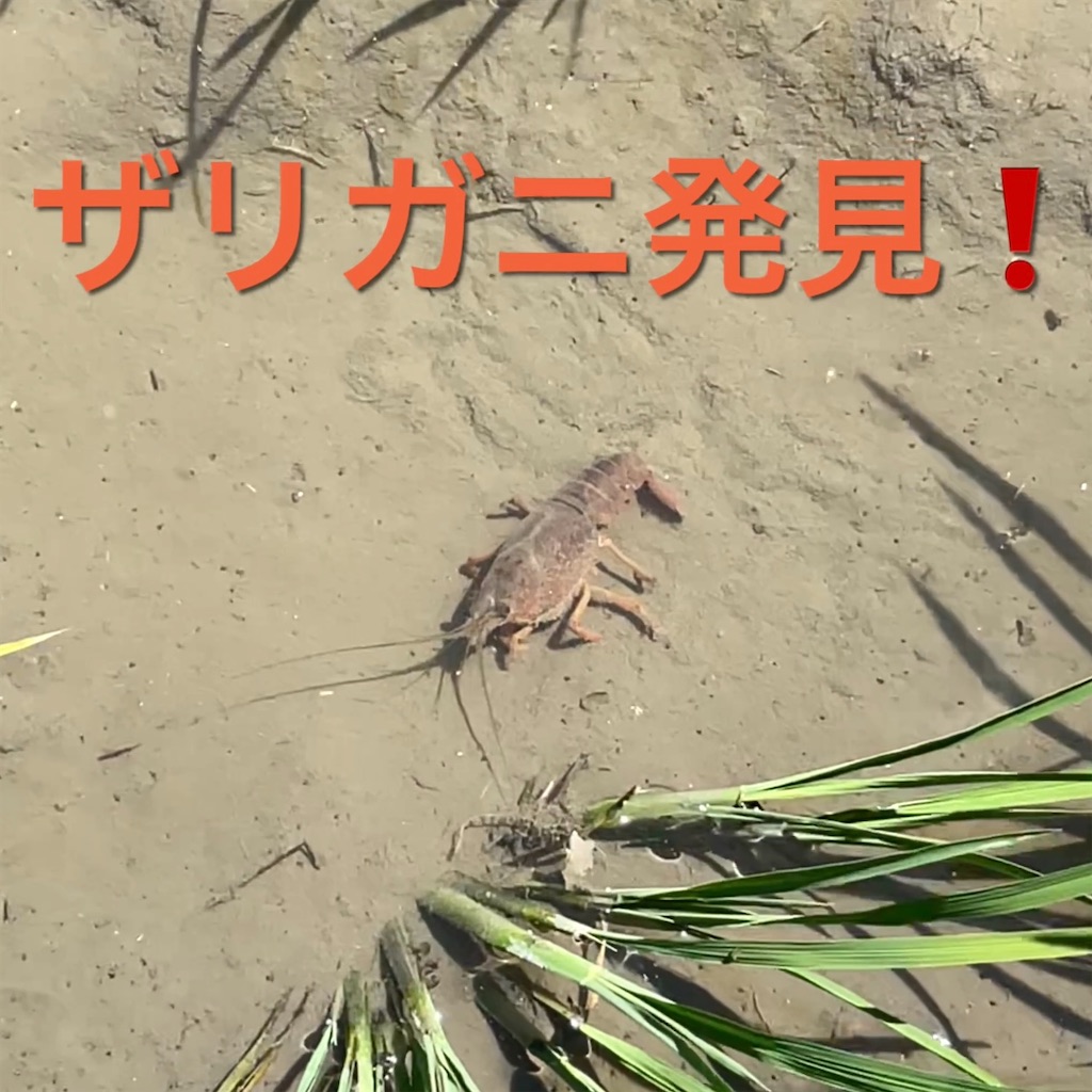 f:id:IshidayasunariART:20220612214544j:image f:id:IshidayasunariART:20220612214544j:image