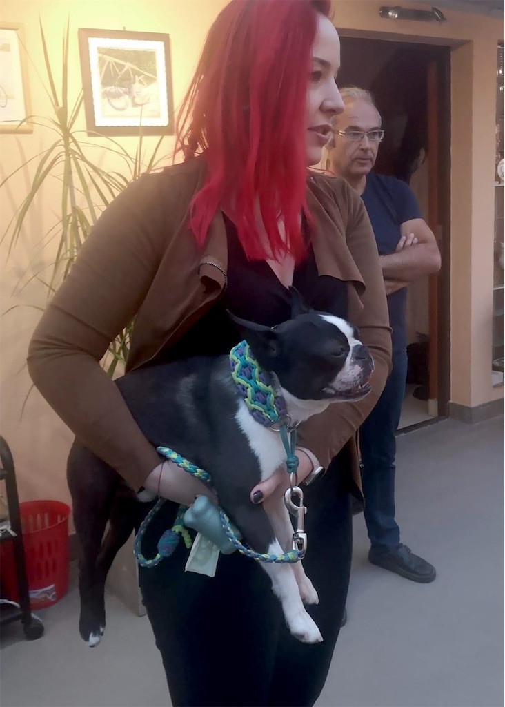 f:id:IshidayasunariART:20240515174714j:image f:id:IshidayasunariART:20240515174714j:image