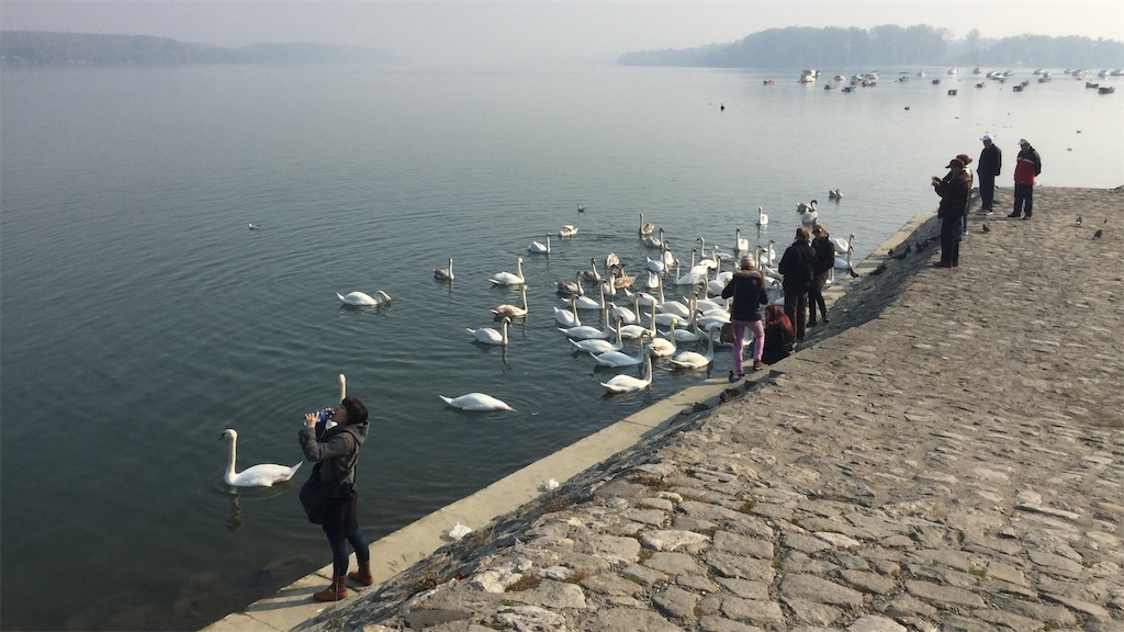 f:id:IshidayasunariART:20250827011923j:image