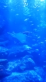20150430144755
