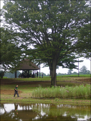 昭和記念公園20061001_1