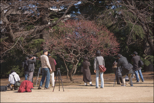 f:id:Islay:20070127213826j:image f:id:Islay:20070127213826j:image