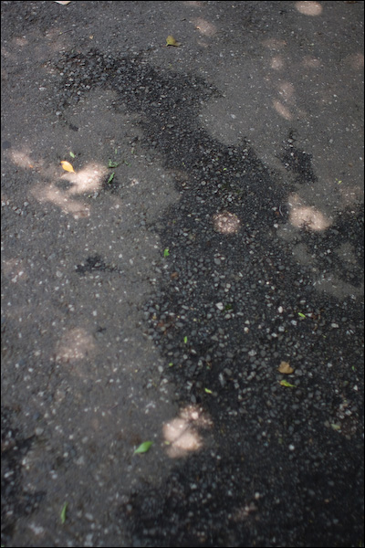 20080617213306