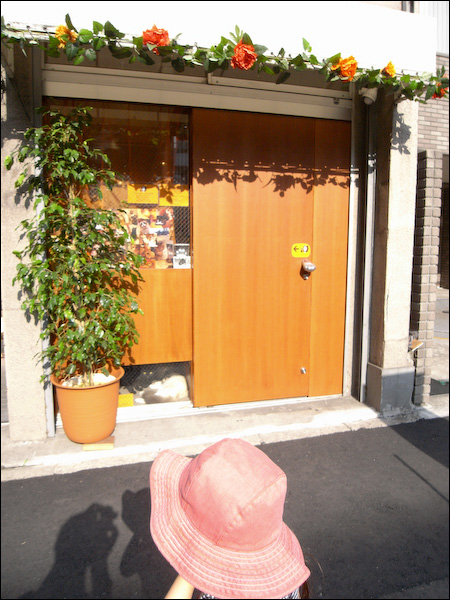 20080617213314