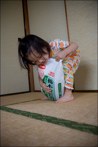 20080617213846