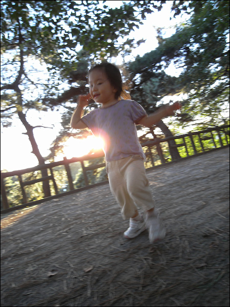 20080617213917