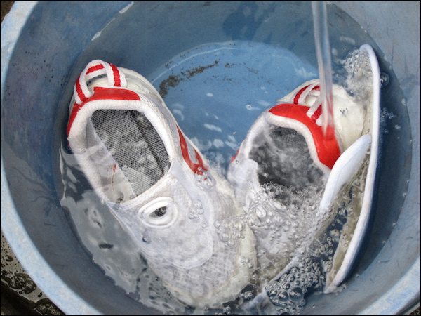 娘の上履きを洗う。今朝は、水が冷たいな〜