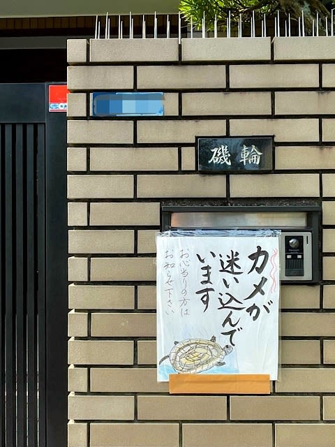 求む養い親 - 磯輪日記