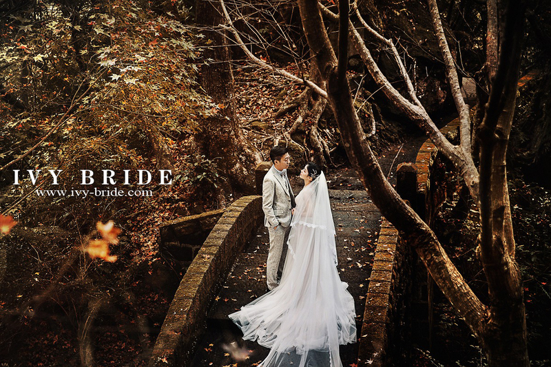 f:id:IvyBride:20200403150600j:plain