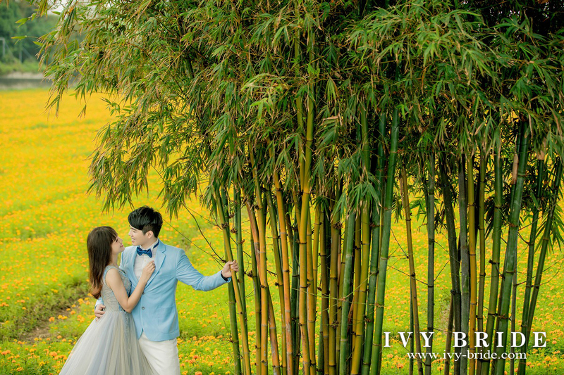 f:id:IvyBride:20200403184221j:plain