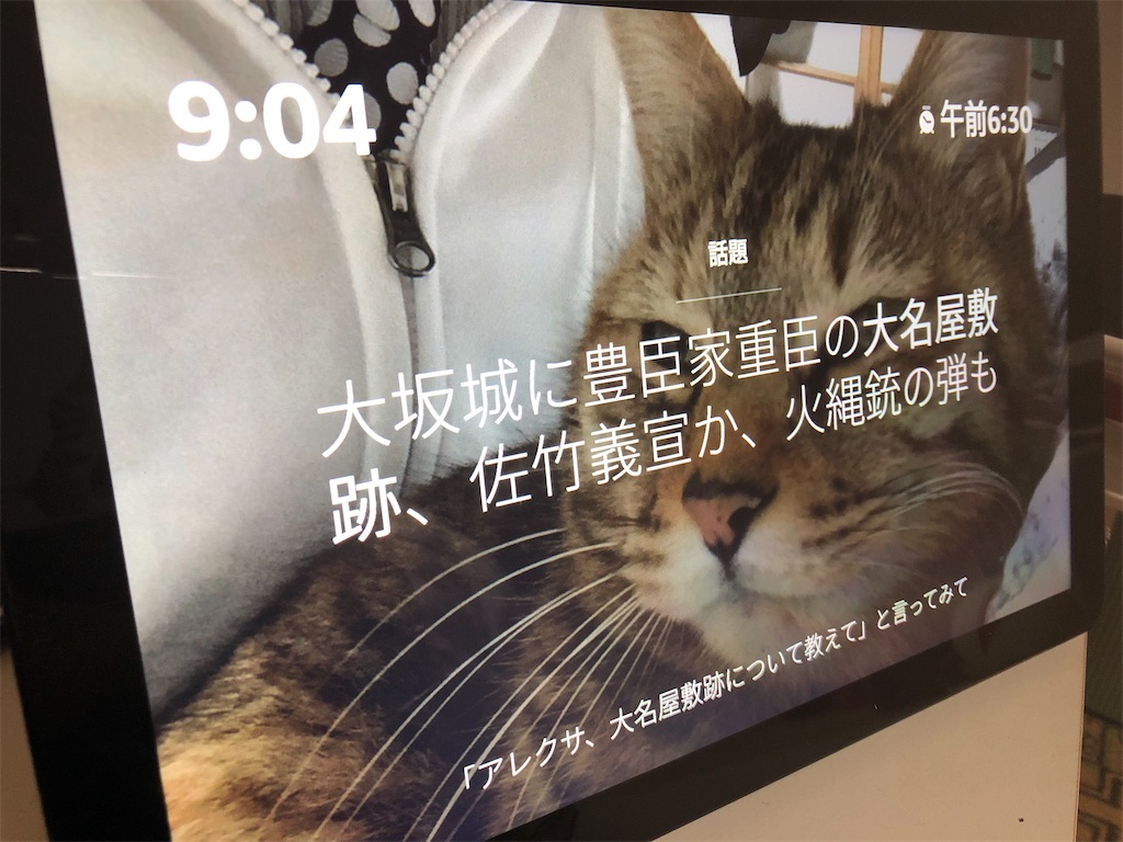 f:id:Iwa-560:20190321210447j:image f:id:Iwa-560:20190321210447j:image