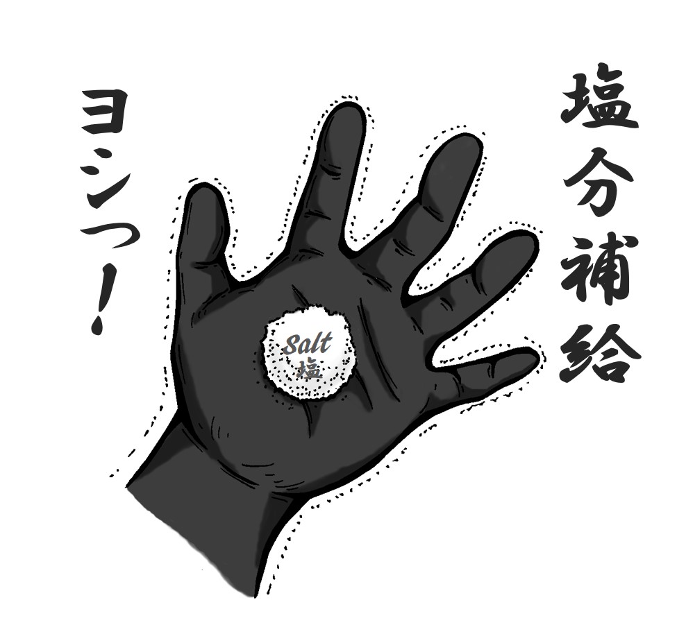 f:id:IwamuRock:20190729151036j:plain