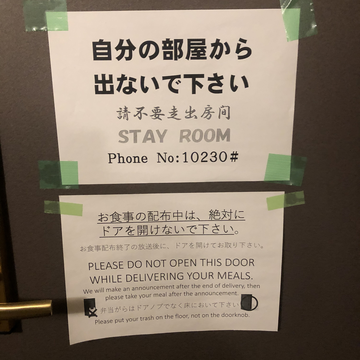 f:id:Iwashi-Tumire:20210310140604j:plain