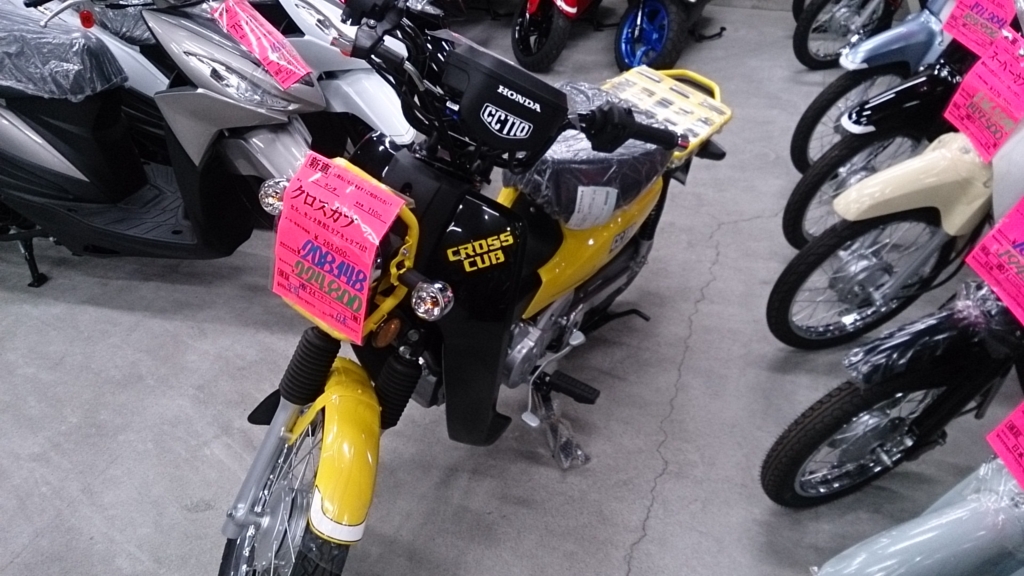 f:id:IzumiHal:20170125155709j:plain f:id:IzumiHal:20170125155709j:plain