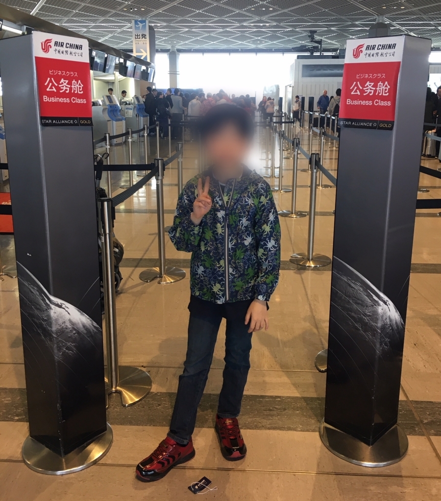 f:id:Izumin_Japan:20180407233836j:plain