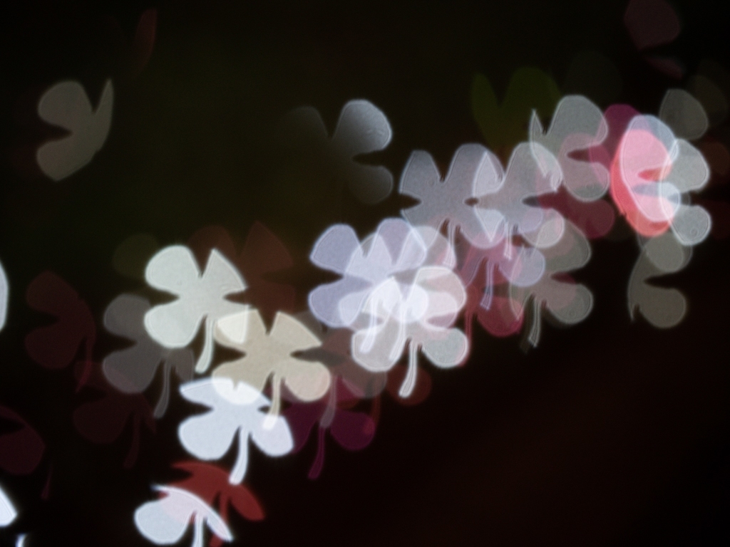f:id:Izyrun:20181204040346j:plain
