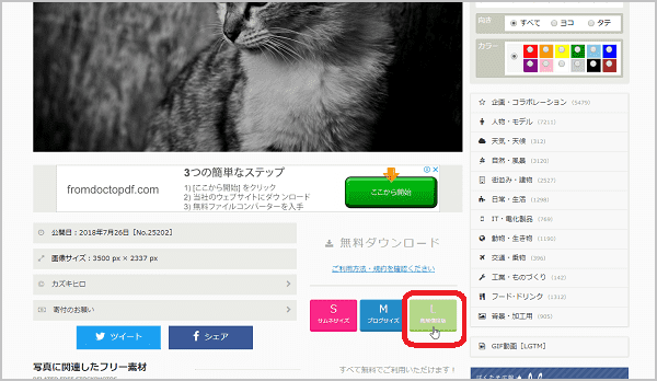 f:id:J-and-Do:20180911213431p:plain f:id:J-and-Do:20180911213431p:plain