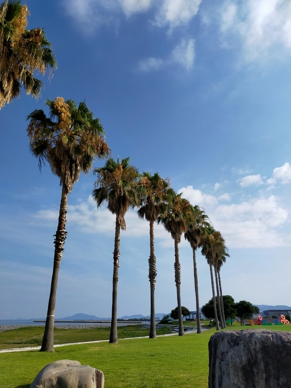 f:id:J-dream:20210807131431j:plain