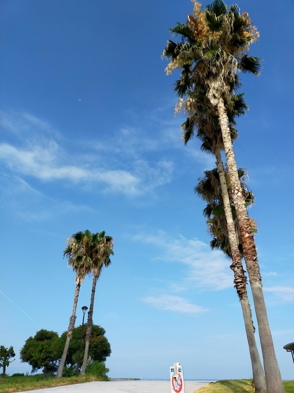 f:id:J-dream:20210807131704j:plain