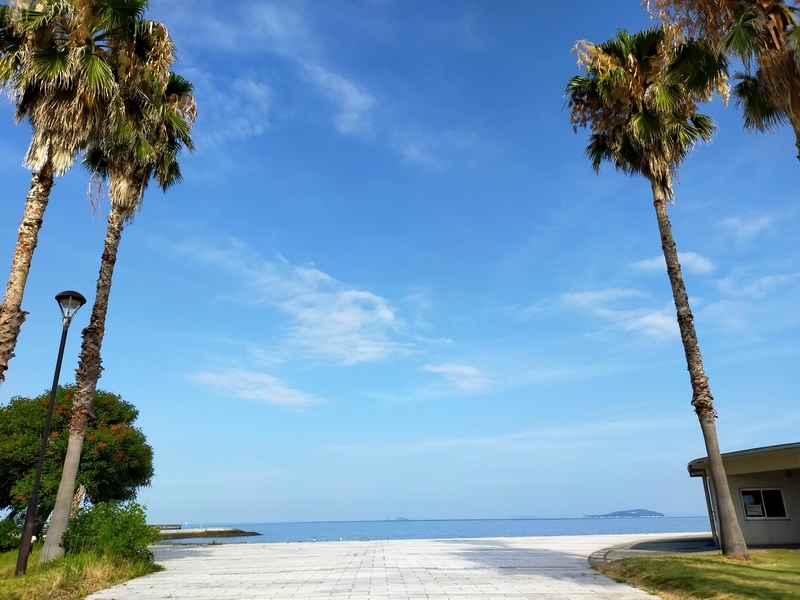 f:id:J-dream:20210807131716j:plain