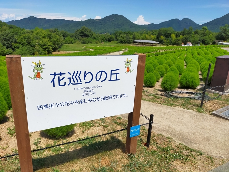 f:id:J-dream:20210831211244j:plain