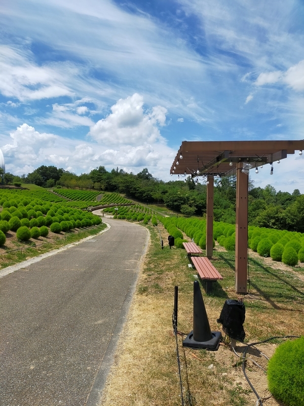 f:id:J-dream:20210831211300j:plain