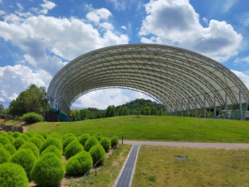 f:id:J-dream:20210831211313j:plain