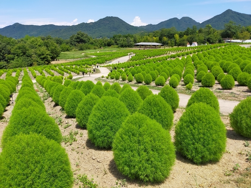 f:id:J-dream:20210831211324j:plain