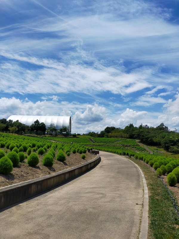 f:id:J-dream:20210831211352j:plain