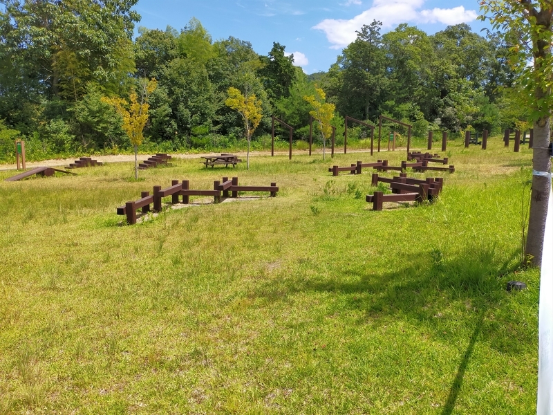 f:id:J-dream:20210831211633j:plain