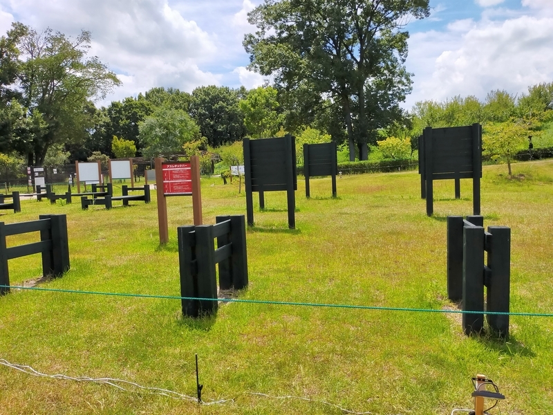 f:id:J-dream:20210831211650j:plain