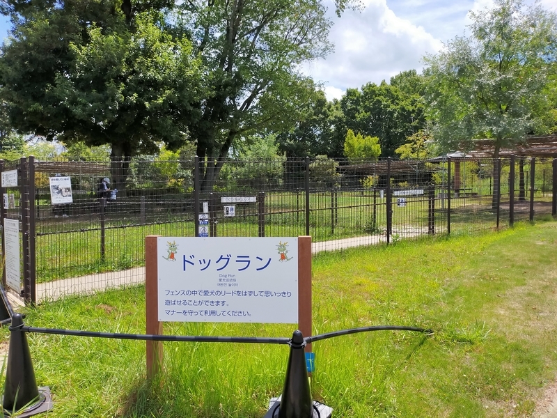 f:id:J-dream:20210831211717j:plain