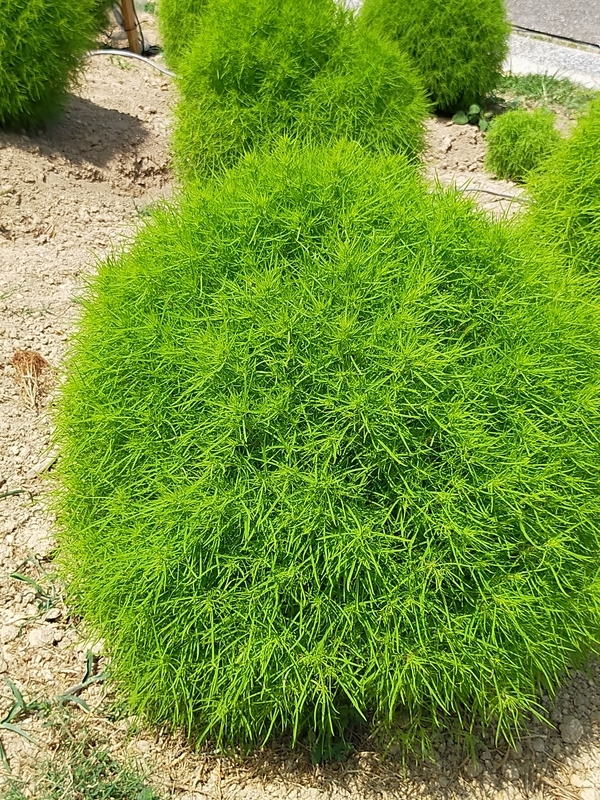 f:id:J-dream:20210831211801j:plain