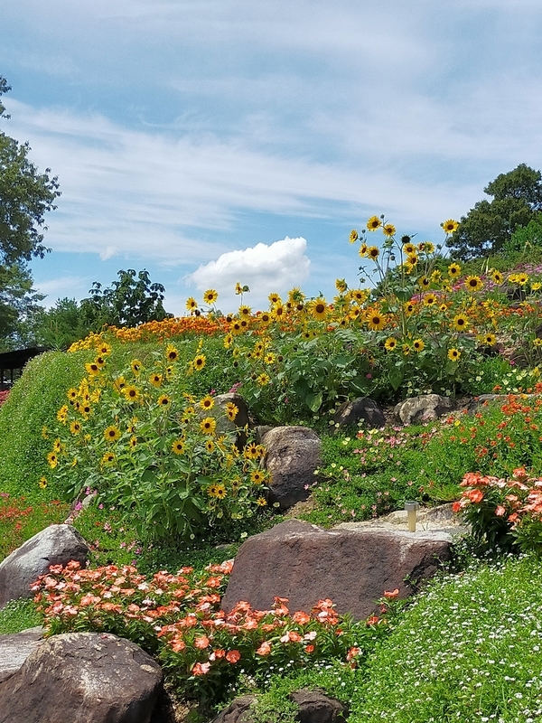 f:id:J-dream:20210831212400j:plain