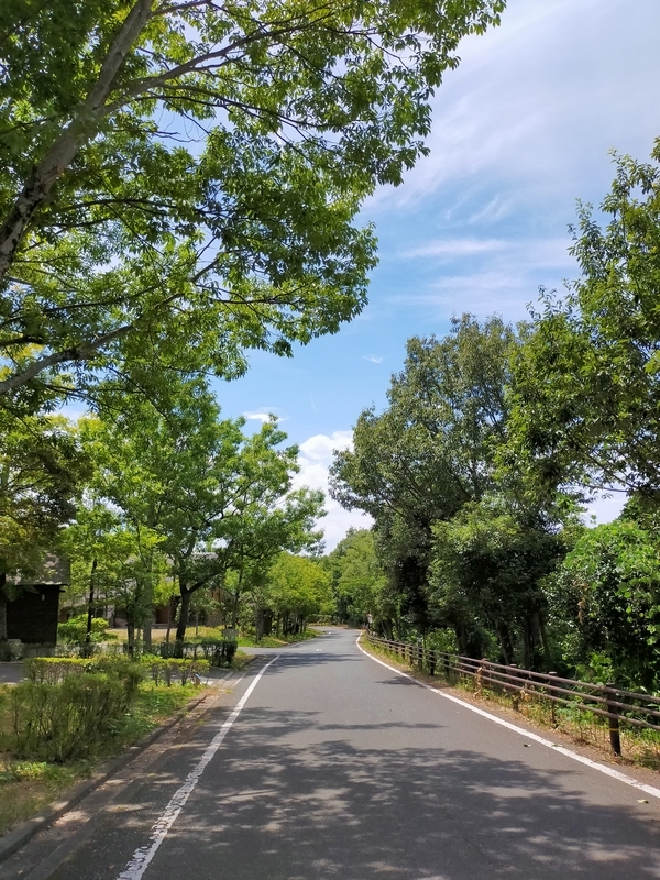 f:id:J-dream:20210831212837j:plain