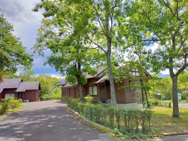 f:id:J-dream:20210831212853j:plain