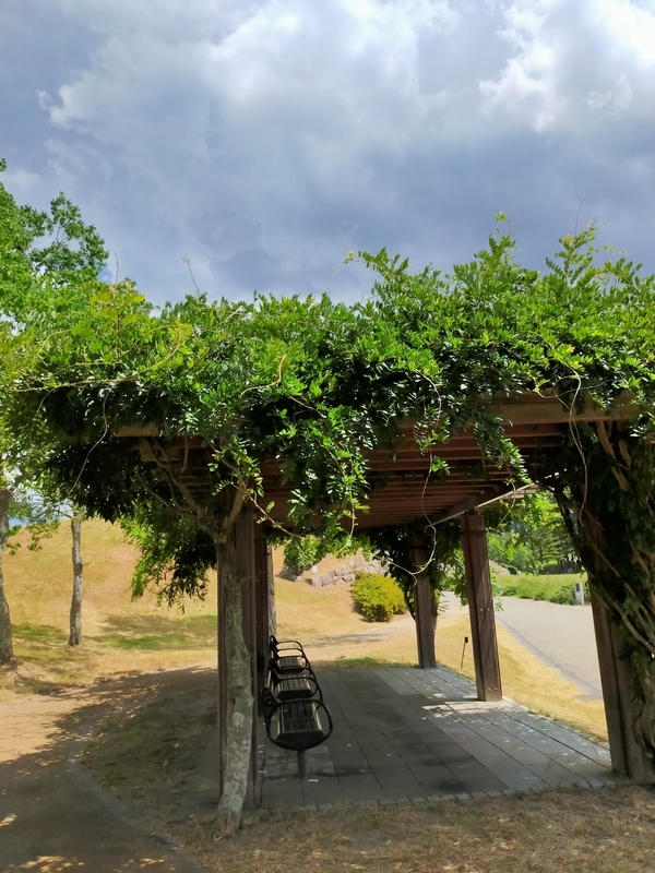 f:id:J-dream:20210831213640j:plain