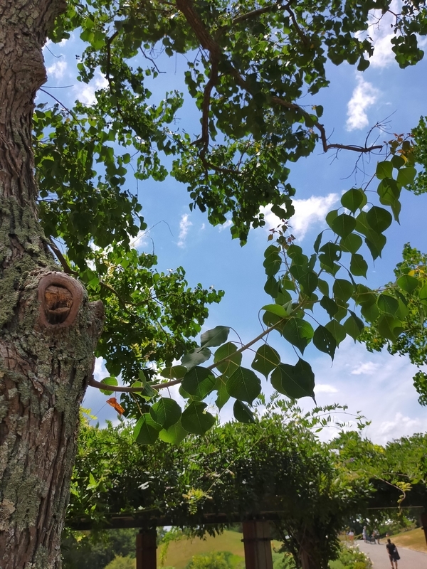 f:id:J-dream:20210831213744j:plain