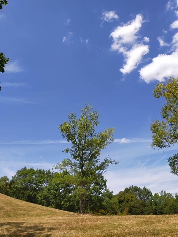 f:id:J-dream:20210831213809j:plain