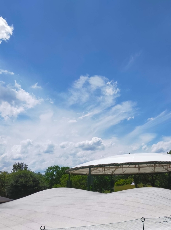 f:id:J-dream:20210831213826j:plain