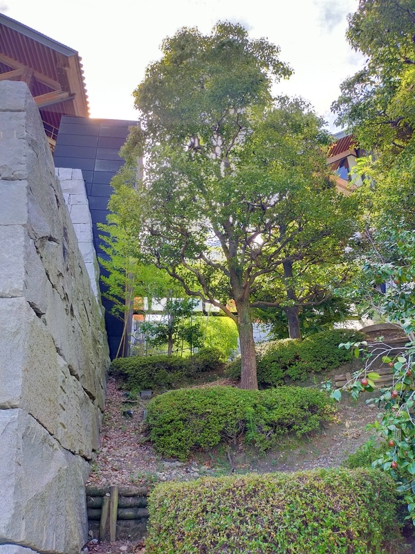 f:id:J-dream:20210911205711j:plain